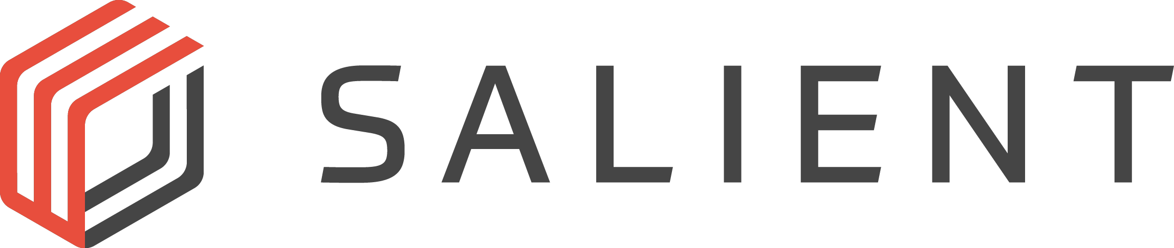 Salient Systems Logo